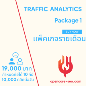 TRAFFIC ANALYTICS Package 1