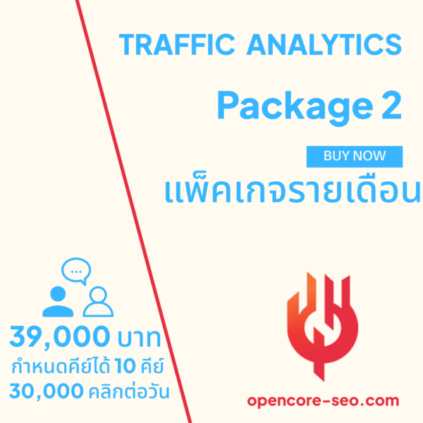 TRAFFIC ANALYTICS Package 2