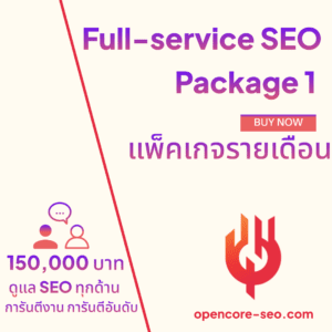 Full-service SEO Package 1