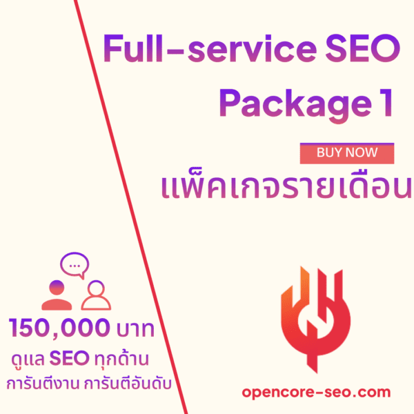 Full-service SEO Package 1