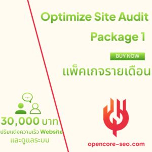 Optimize Site Audit